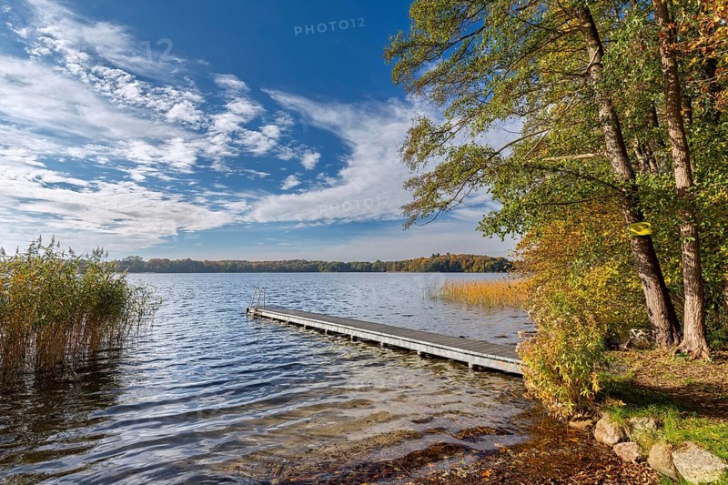 Wooden jetty at lake Schaalsee in autumn, fall, Biosphärenreservat Schaalsee, Schleswig-Holstein, Germany, Europe