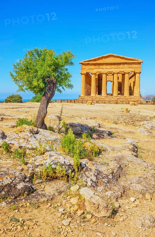 Temple of Concordia, Valley of Temples, Agrigento, Sicily, Italy, Europe