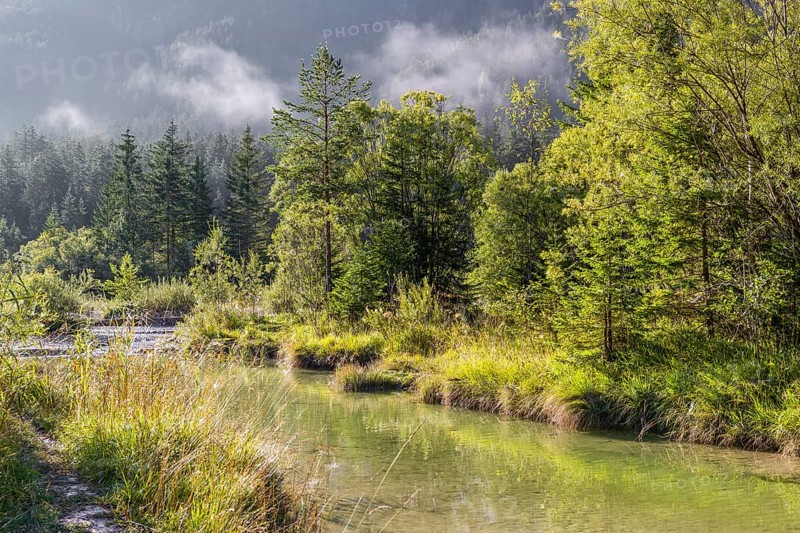 Isar valley nature conservancy area on an early sunny morning. The wild Isar river flows through its gravel bed past driftwood and entrained trees and bushes