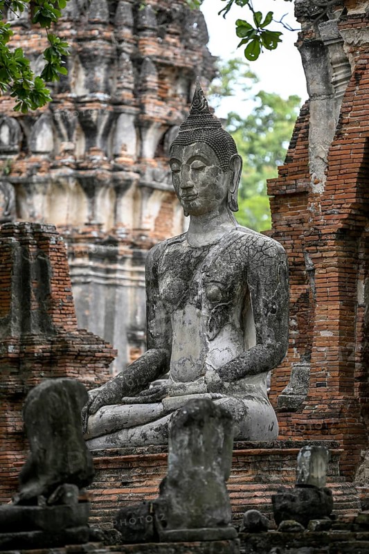 Buddha statue in Wat Mahathat Ayutthaya, Temple of the Great and Holy Relic, Ayutthaya, Ayutthaya Province, Thailand, Asia