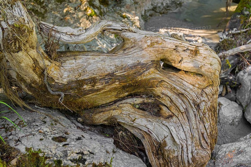 Driftwood, Rissbach creek, Eng valley, stones and flowing water