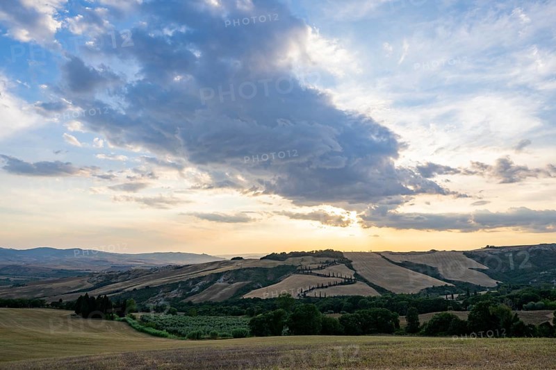 Typical Tuscan landscape in Val d'Orcia with hills, trees, fields, cypresses and farm road in autumn at sunset, La Foce, Tuscany, Italy, Europe
