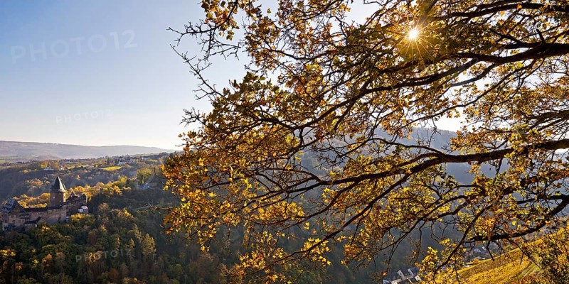 Autumn view of the hilltop castle Burg Stahleck, Bacharach, UNESCO World Heritage Upper Middle Rhine Valley, Rhineland-Palatinate, Germany, Europe