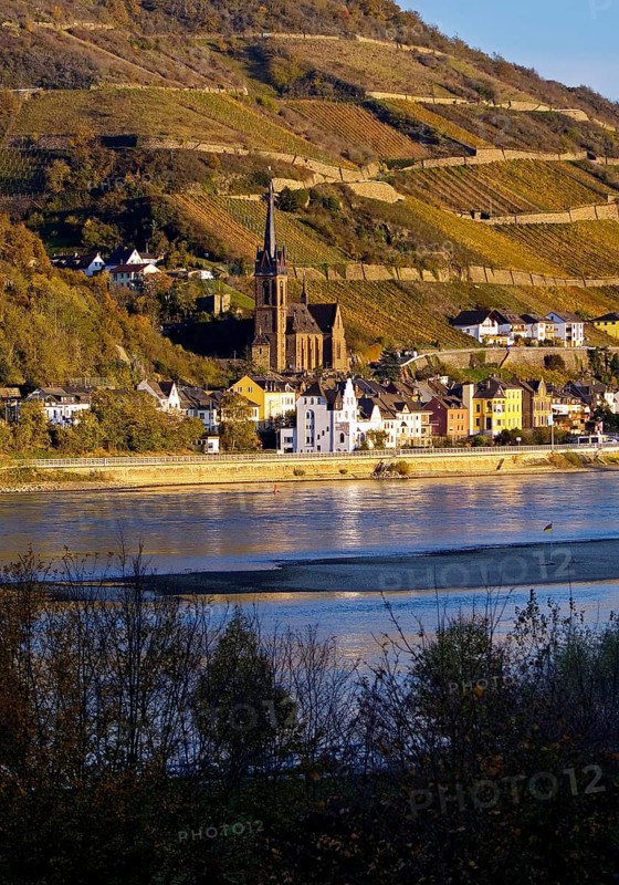 View across the Rhine in the late evening light from Bacharach to Lorch with the parish church of St Martin, UNESCO World Heritage Upper Middle Rhine Valley, Hesse, Germany, Europe