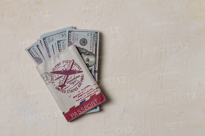 International passport, with dollars, bills inside, top view, no people