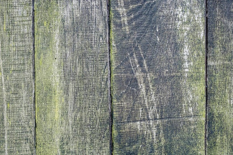 Board wall, wooden wall with verdigris, texture, background, Münsterland, North Rhine-Westphalia, Germany, Europe