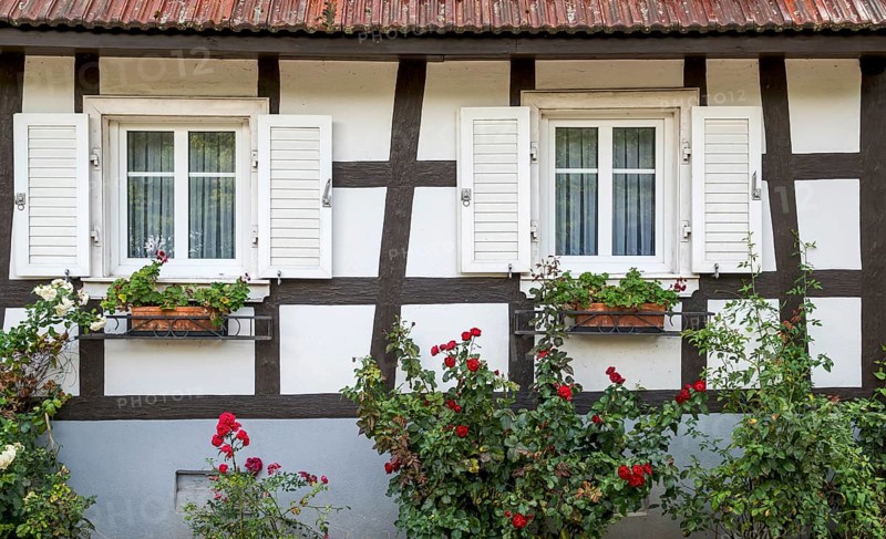 Half-timbered house, façade with windows and roses, Alsace, France, Europe