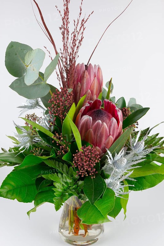 Bouquet with protea and eucalyptus in vibrant colours, stylish composition, bouquet