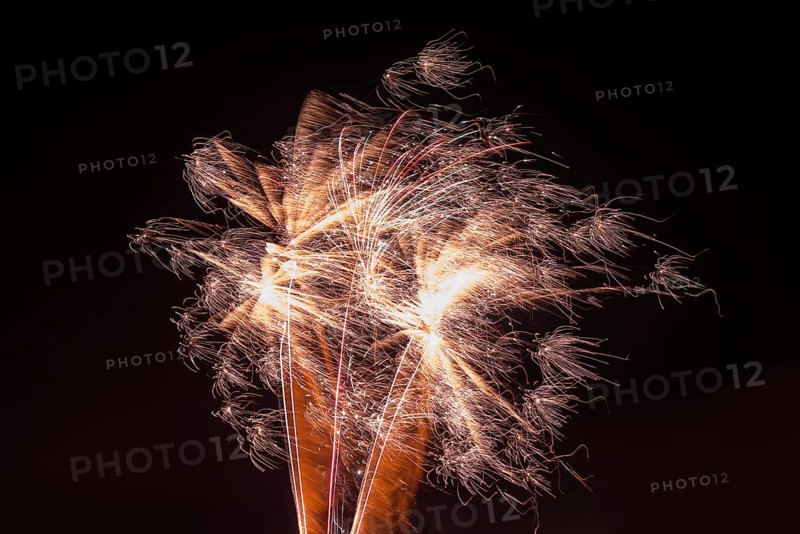 Gold-coloured explosion of fireworks in the dark sky, Lower Saxony, Germany, Europe