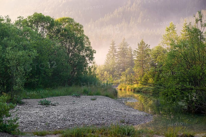 Isar valley nature conservancy area. The wild Isar river flows through its gravel bed past driftwood and entrained trees and bushes . Early morning