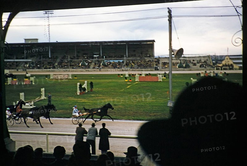 Trotting race in a stadium as part of an equestrian event, Melbourne, Victoria, Australia, 1956, Oceania