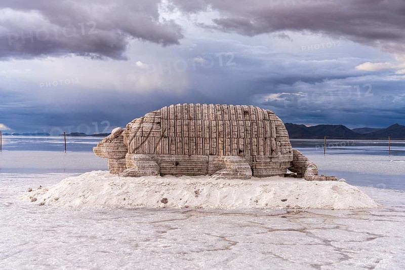 Colchani salt sculptures, Uyuni, Bolivia, South America