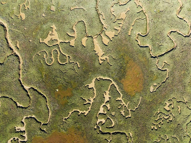 Network of channels and streams at low tide. In the marshland of the Piedras River. Aerial view. Drone shot. Huelva province, Andalusia, Spain, Europe