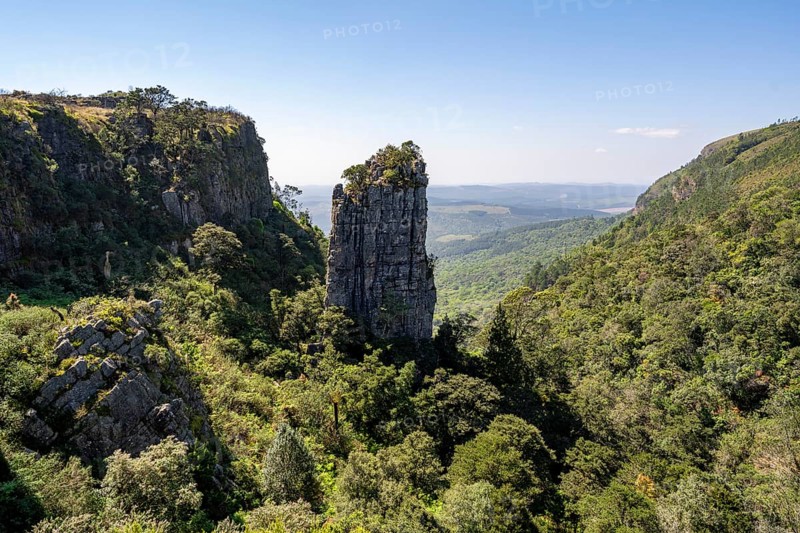 Rock needle in a densely forested canyon, Pinnacle Rock, view over canyon landscape, near Graskop, Mpumalanga, South Africa, Africa