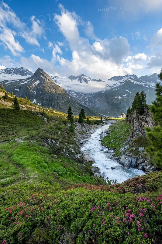 Mountain landscape with alpine roses, mountain stream Zemmbach and mountain hut Berliner Hütte, behind mountain peak Steinmandl and Großer Möseler with glacier Waxeggkees, Berliner Höhenweg, Zillertal Alps, Tyrol, Austria, Europe