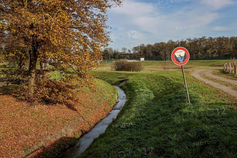 10.11.2021, Datteln, North Rhine-Westphalia, Germany - Following the construction of a parallel sewer, the Westerbach is now free of wastewater, is part of the Lippe river system and was previously an open, above-ground wastewater sewer, mixed sewer with surface water and wastewater. However, the stream still flows in the old concrete shells. Together with the Steinrapener Bach, the stream forms the Dattelner Mühlenbach