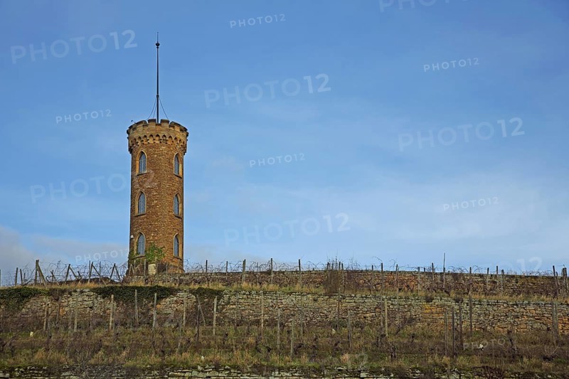 Neo-Gothic tower built in 1890 in the vineyard, vineyard, art trail, Heiligenblut, Alzey, Rhine-Hesse region, Rhineland-Palatinate, Germany, Europe