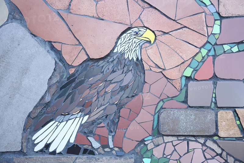 Wall mosaic with bald eagle by Isidora Paz López 2019, one, bald eagle, eagle figure, bird figure, handicraft, tiles, tiles, Lopez, rock staircase, bird staircase, Pirmasens, Palatinate Forest, Rhineland-Palatinate, Germany, Europe