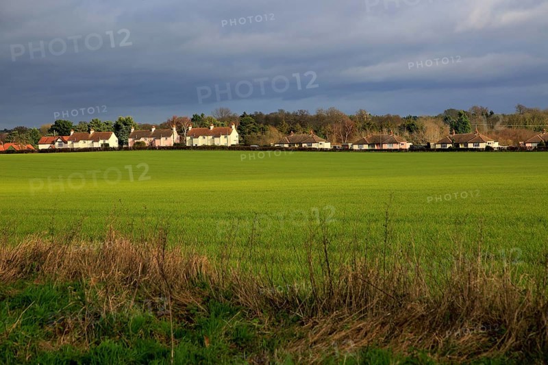 Houses spread out in a line in the linear village of Sutton, Suffolk, England, UK