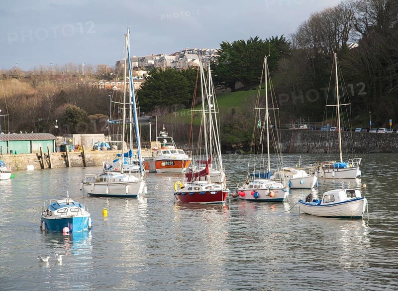 View of boats in the harbour in sunshine of winter afternoon, Ilfracombe, north Devon, England, United Kingdom, Europe