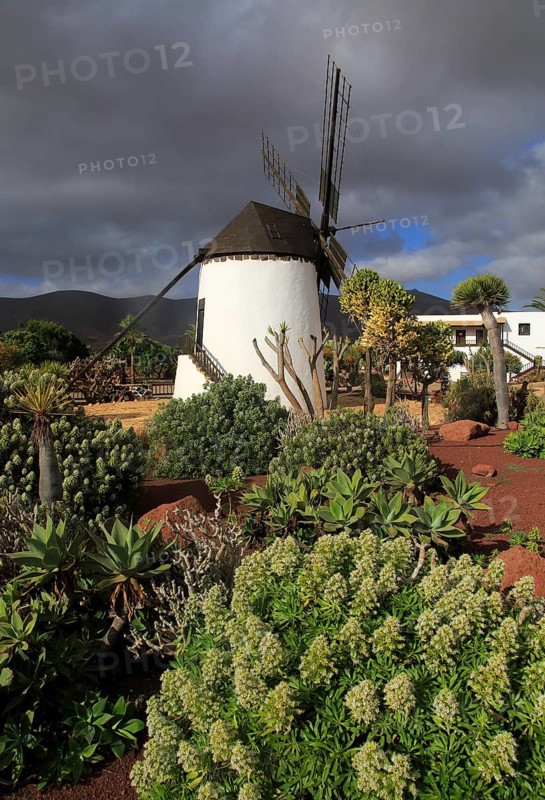 Windmill and garden at Centro de Artesania Molinos de Antigua, Fuerteventura, Canary Islands, Spain, Europe