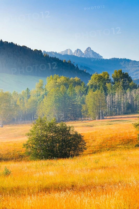 View over the Rothenthurm upland moor in autumn with the Mythen mountain peaks in the background, Canton Schwyz, Switzerland, Europe