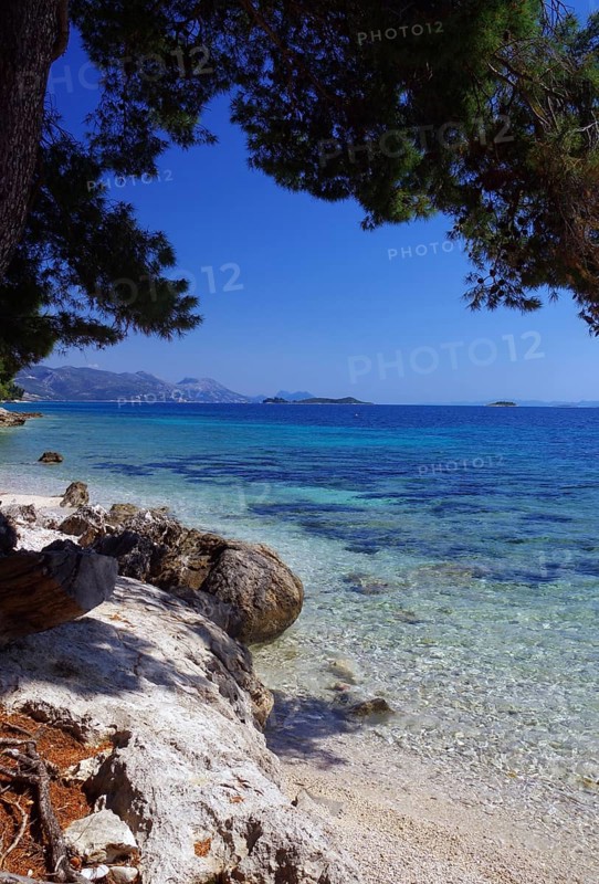 Crystal clear bay with transparent clear water, blooming flowers, spring, holiday, Adriatic Sea, Peljesac, Dalmatia, Mediterranean Sea, Croatia, Europe
