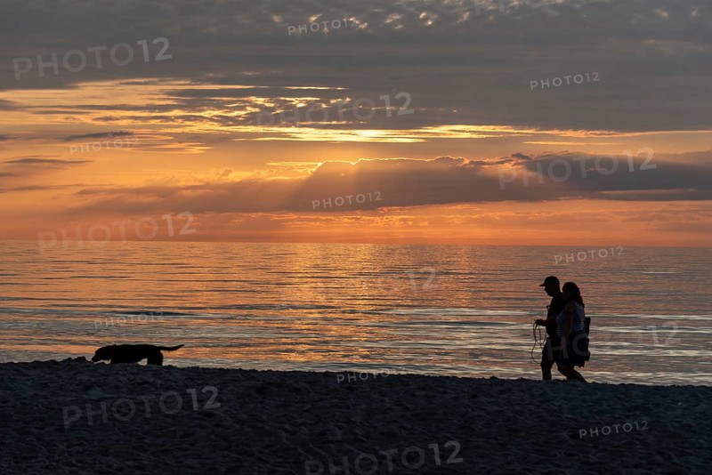 People and a dog walking on the beach at sunset, calm sky and sea in the background, Baltic Sea peninsula Fischland-Darß-Zingst, Dierhagen, Mecklenburg-Vorpommern, Germany, Europe