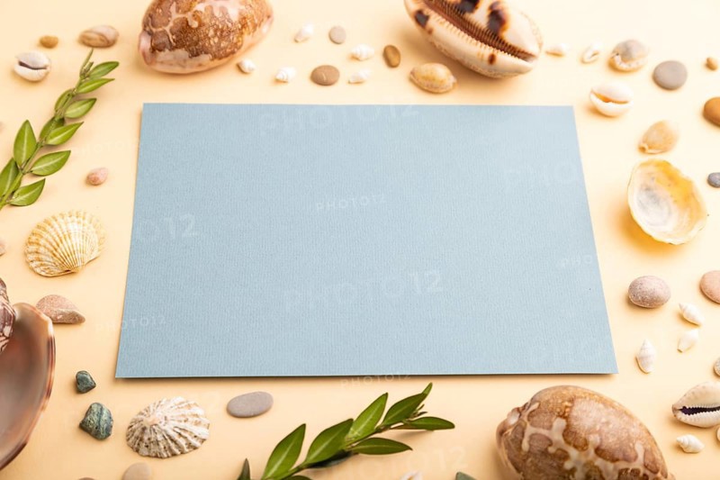 Composition with blue paper sheet, seashells, pebbles, green boxwood. mockup on orange background. Blank, side view, still life, copy space. travel concept