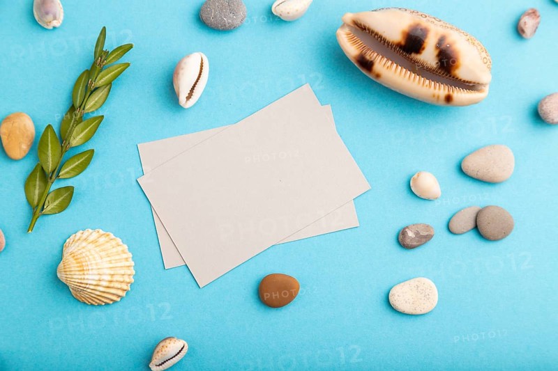 Composition with gray paper business cards, seashells, green boxwood. mockup on blue pastel background. Blank, top view, still life, flat lay, copy space. travel concept