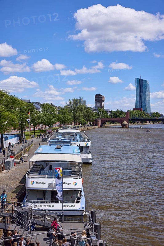 Excursion boats at the Mainkai under a blue sky with cumulus clouds in Frankfurt am Main, Hesse, Germany, Europe
