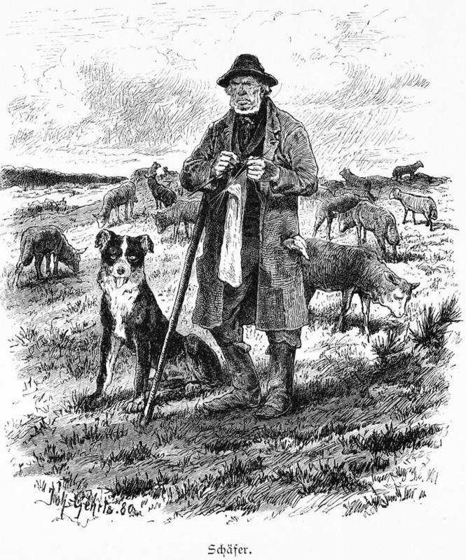 Shepherd, Mecklenburg-Western Pomerania, Germany, flock of sheep, grazing, profession, old man, staff, knitting, wool, dog, rural, historical illustration 1880, Europe