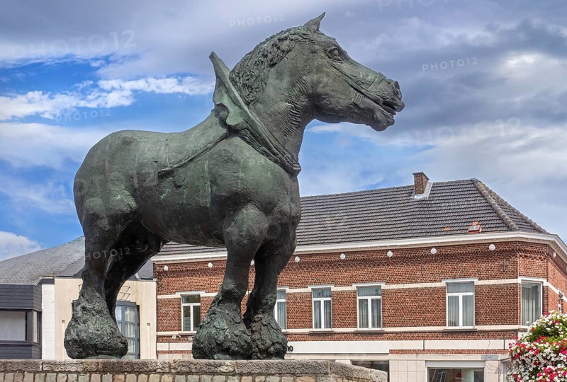 Prins, bronze statue of Brabant draft, draught horse by Belgian sculptor Koenraad Tinel at market of Sint-Kwintens-Lennik, Flemish Brabant, Belgium, Europe