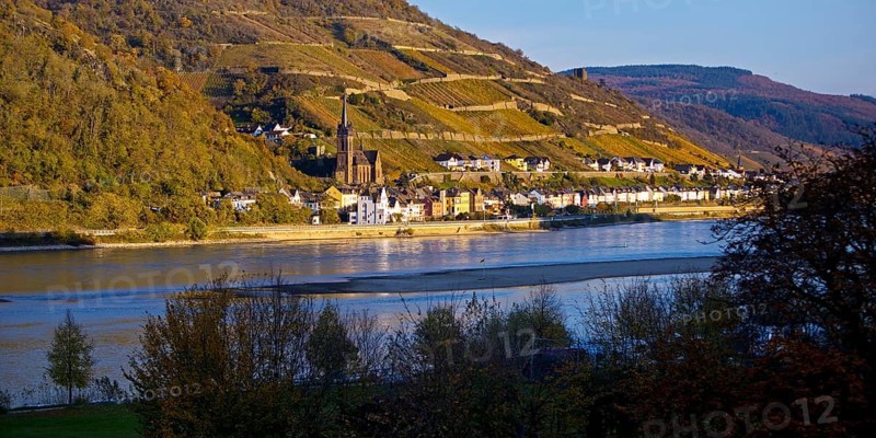 View across the Rhine in the late evening light from Bacharach to Lorch with the parish church of St Martin, UNESCO World Heritage Upper Middle Rhine Valley, Hesse, Germany, Europe