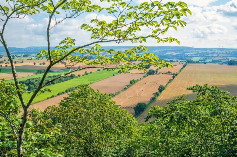 View at a patchwork landscape in a rural area with lush green tree branches, Sweden, Europe