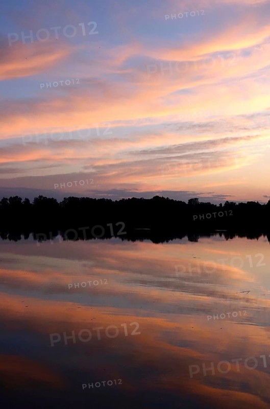 Upper Lusatian heath and pond landscape, evening mood, June, Saxony, Germany, Europe