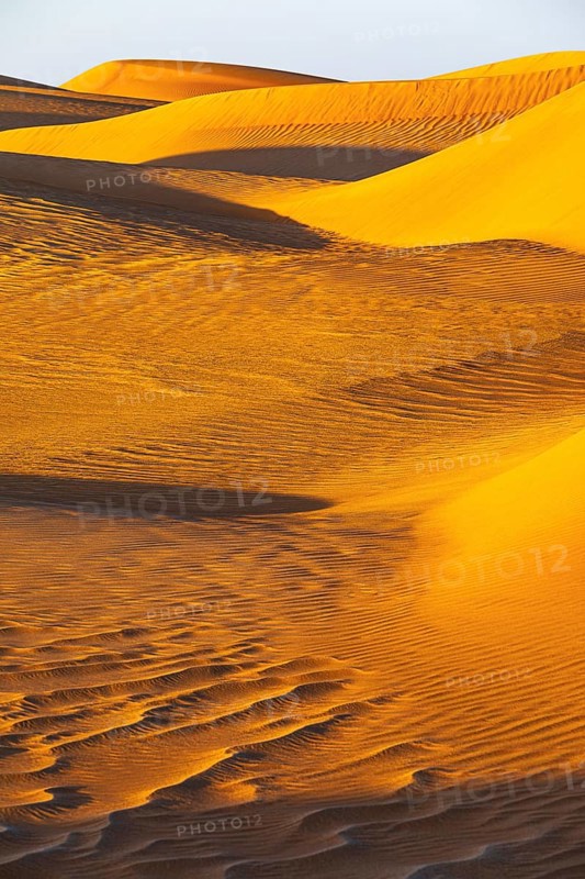 Wind-sculpted curved sand dunes in the Rub al Khali desert, Dhofar province, Arabian Peninsula, Sultanate of Oman