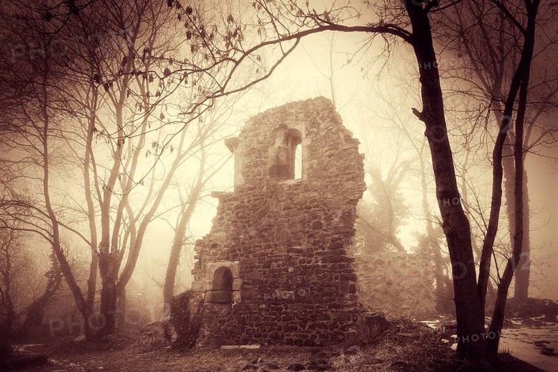 Church ruins in dense fog in winter, Petersberg Monastery near Halle, Saxony-Anhalt, Germany, Europe