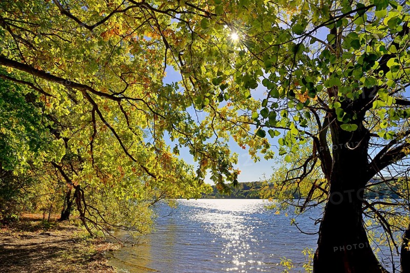 Deciduous trees with autumn leaves on the lake shore, blue sky, sun star, Möhne dam, North Rhine-Westphalia, Germany, Europe