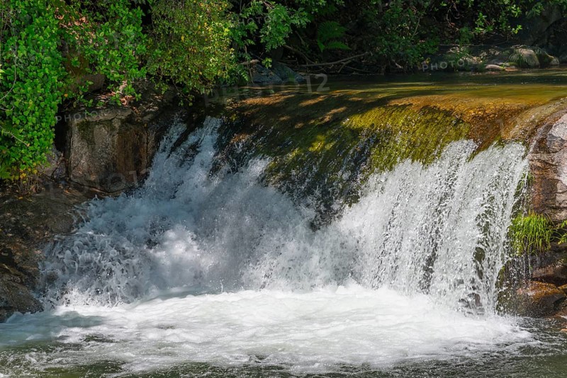 Small waterfall with green moss on the stones surrounded by lush trees on a sunny day, Garganta Mayor, Garganta la Olla, Sierra de Tormantos, Cáceres, Caceres, Extremadura, Spain, Europe