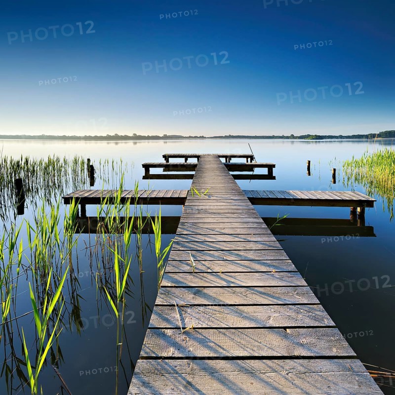 Morning atmosphere at the Schaalsee, symmetrical footbridge in the reeds in the first light, Zarrentin, Mecklenburg-Vorpommern, Germany, Europe