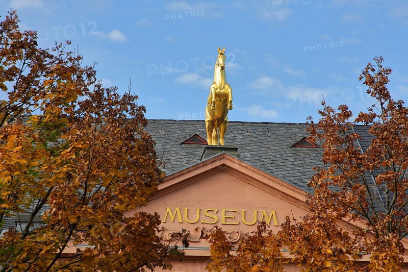 Golden horse figure by Heinz Müller-Olm on the roof of the museum, golden, golden, horse, inscription, decorations, autumn leaves, autumn atmosphere, state museum, old town, Mainz, Rhine-Hesse region, Rhineland-Palatinate, Germany, Europe