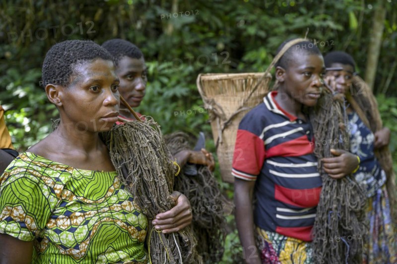 Pygmy woman of the Baka or BaAka people with their hunting nets, Dzanga-Sangha Special Dense Forest Reserve, Sangha-Mbaéré Prefecture, Central African Republic, Africa