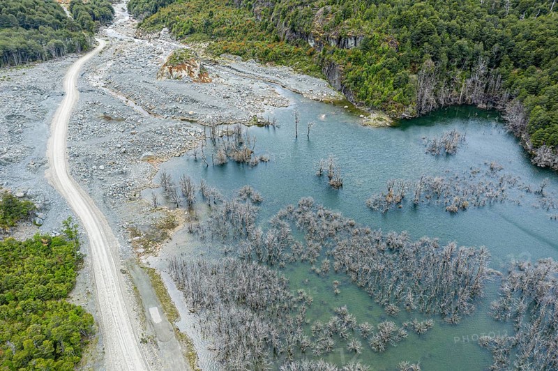 Flooded forest with dead trees, river Rio Norte damned by landslide, new road passing new created lake, aerial view, Valle Exploradores near Puerto Rio Tranquilo, Patagonia, Chile, South America