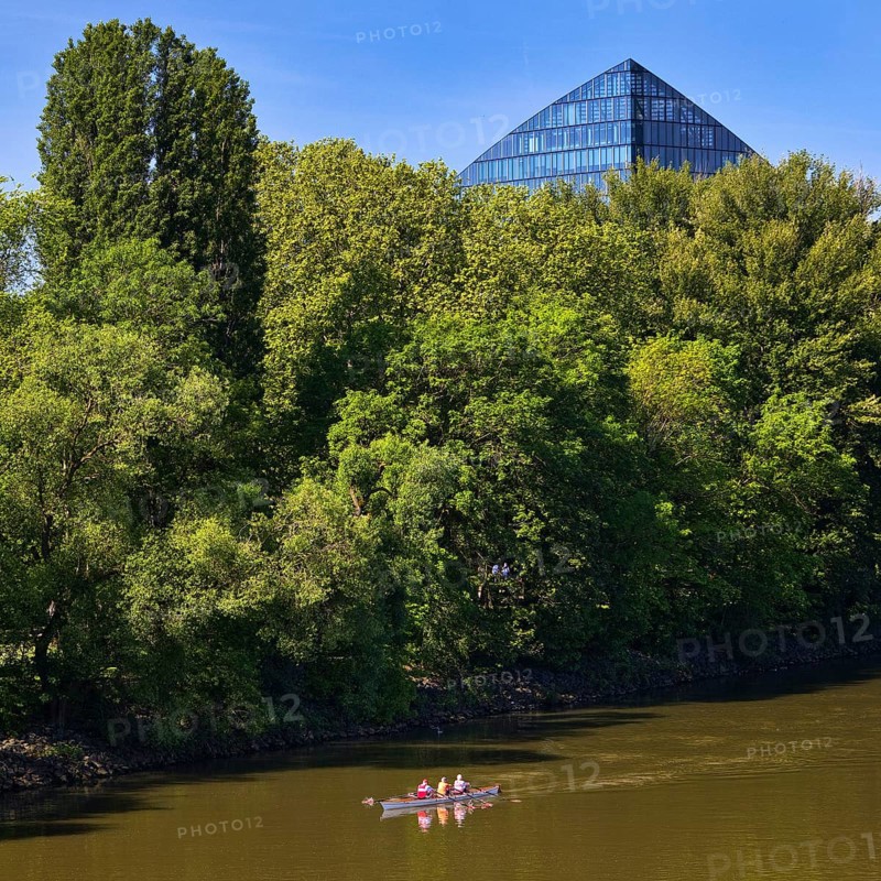 The river Main with a sports boat and the tip of the Main Triangle in Frankfurt-Sachsenhausen, Frankfurt am Main, Hesse, Germany, Europe