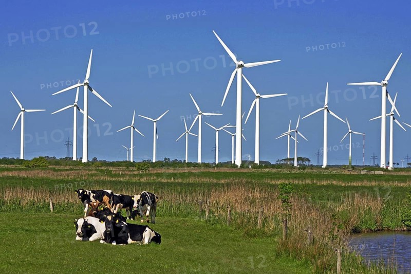 Wind power plant, wind turbines, wind turbine, electricity, power generation, alternative energies, East Frisia, Lower Saxony, Federal Republic of Germany