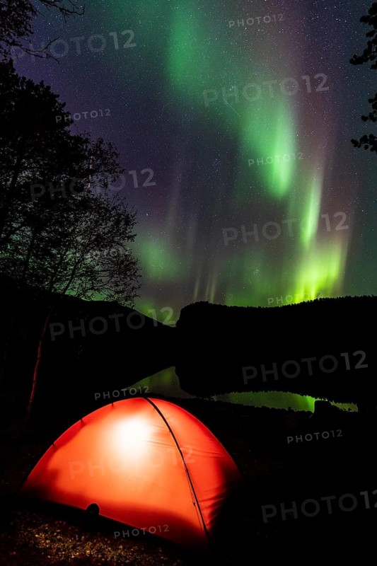 Northern Lights (Aurora borealis) reflected in a lake, Rago National Park, Nordland, Norway, bivouac, tent, lighting, Scandinavia, Europe