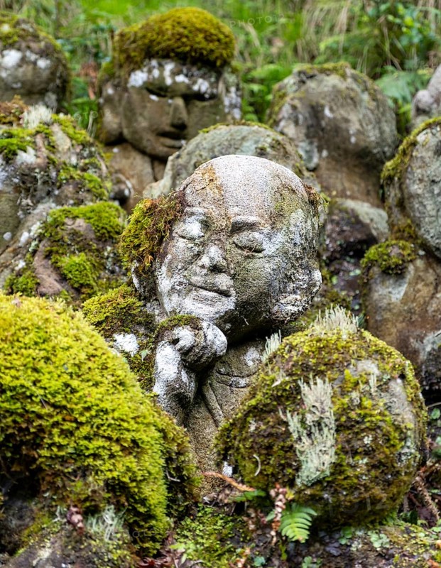 Close-up of moss-covered stone statue of rakan, the disciple of Buddha, Otagi Nenbutsu-ji temple, Kyoto, Japan, Asia