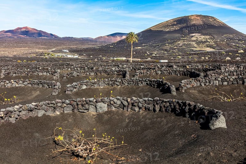 2016, La Geria, Lanzarote, La Geria, ESP, Spain, Canary Islands, Canary Islands, Atlantic Ocean, Lanzarote, biosphere reserve, volcano, volcanism, volcanic island, island, wine-growing area, wine, nature reserve, recording date, Europe