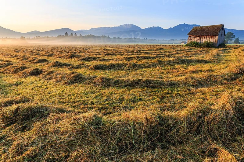 Morning atmosphere, fog, hut, mountains, mown meadow, hay, summer, Loisach-Lake Kochel moor, view of Benediktenwand, Bavaria, Germany, Europe